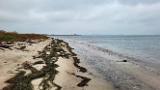 Der Wind war zurück, jetzt aus Südost. Also ein windschattiges Plätzchen gesucht. Weit und breit keine Menschenseele…. wie fast die ganze Woche…naja, bei dem Wetter vielleicht auch kein Wunder. Wenig Bewegung im Wasser, relativ klar, aber der Wasserstand war recht hoch. Bester Dinge legte ich los. Der Wind war zurück, jetzt aus Südost. Also ein windschattiges Plätzchen gesucht. Weit und breit keine Menschenseele…. wie fast die ganze Woche…naja, bei dem Wetter vielleicht auch kein Wunder. Wenig Bewegung im Wasser, relativ klar, aber der Wasserstand war recht hoch. Bester Dinge legte ich los.